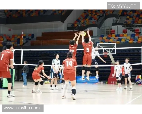 最新排球耐力TOP10：杭州排球队领跑