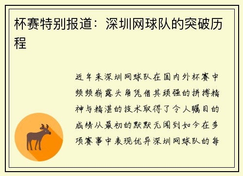 杯赛特别报道：深圳网球队的突破历程