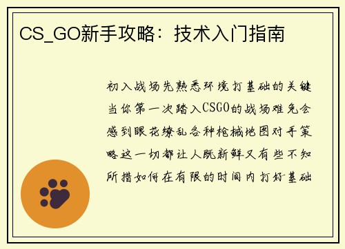 CS_GO新手攻略：技术入门指南